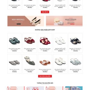 Theme wordpress shop giày nữ