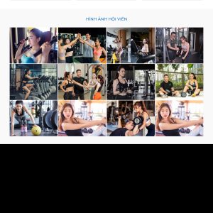 Theme wordpress phòng tập gym