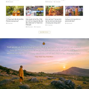 Theme wordpress tin tức 21