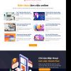 Theme wordpress lading pape top việc